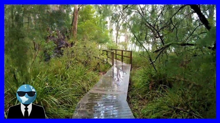 ad 🛩 Finding Tranquility – Exploring Lake Macquarie on a Zen Bushwalk, NSW Australia 🇦🇺