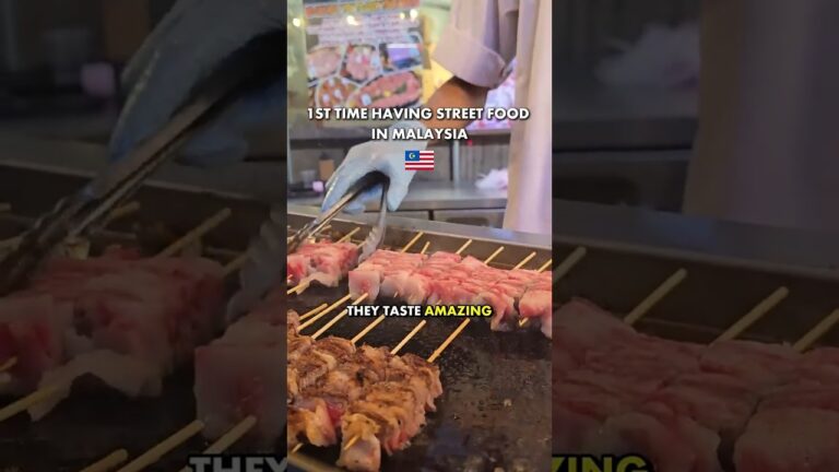Street Food In Malaysia | Wagyu Skewers In Bukit Bintang