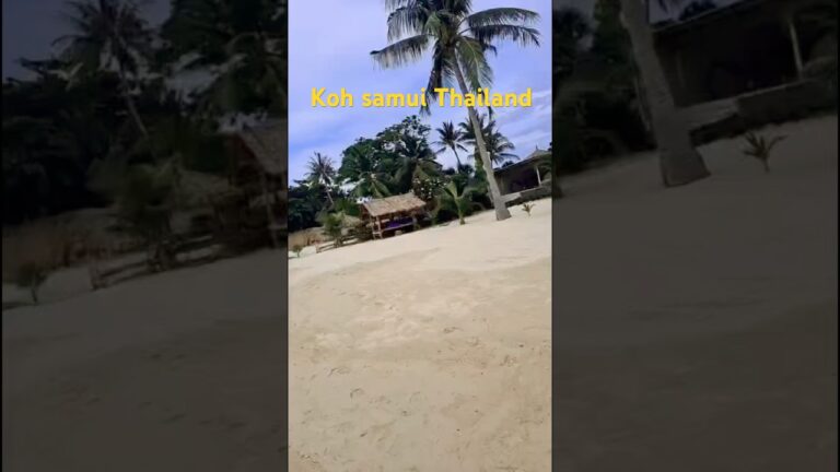 Discover PARADISE in Koh Samui Thailand!#travel #1000subscribers#travel#thaifood#shorts#viralshort#