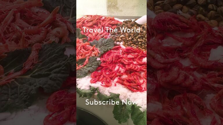#TravelGoals, #Wanderlust, #Adventure, #shorts, #YouTubeShorts, #Trending, #Explore, #foryou